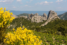 France-Provence-Wine Trails of Rhône Valley